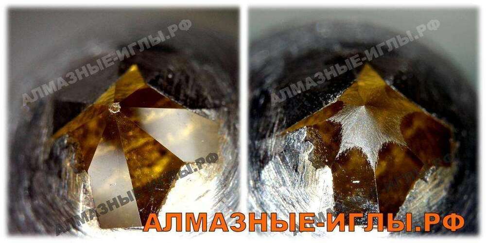 1568371614_.thumb.jpg.46d8beee9637ed616e03583164745a75.jpg