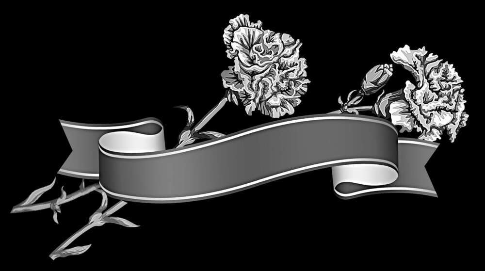 Гвоздикм м-3.jpg