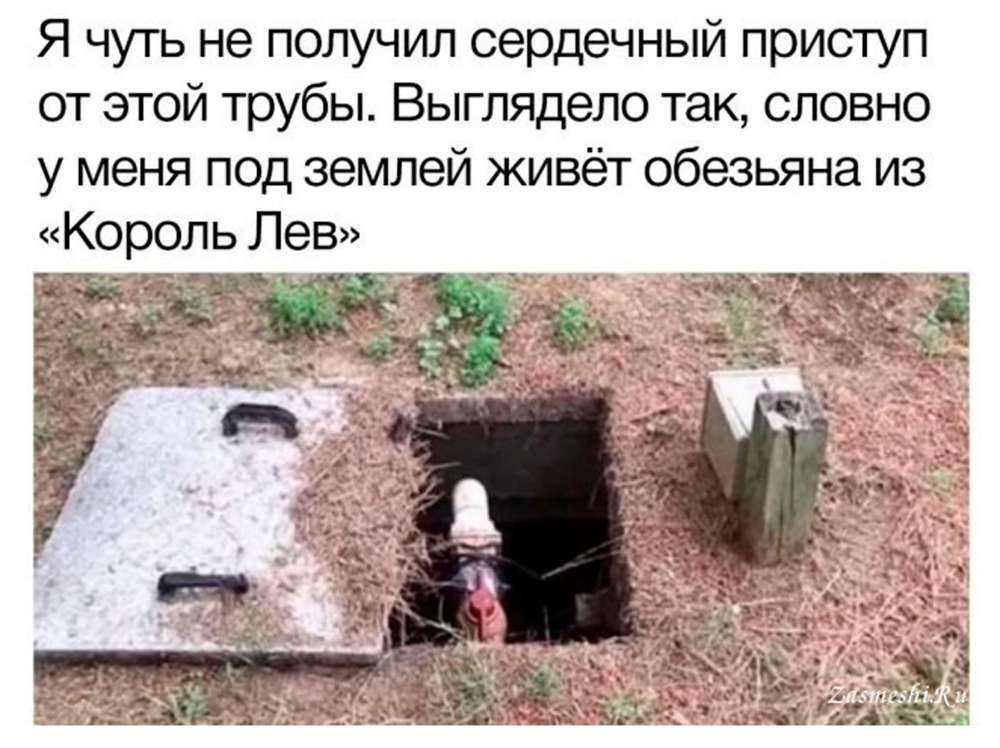 Без имени-6.jpg