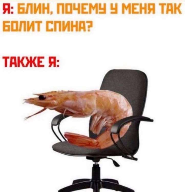 Мем прикол юмор картинки Больше мемов вы найдёте в группе ЮМОР_ОК в яндекс Дзене.jpeg