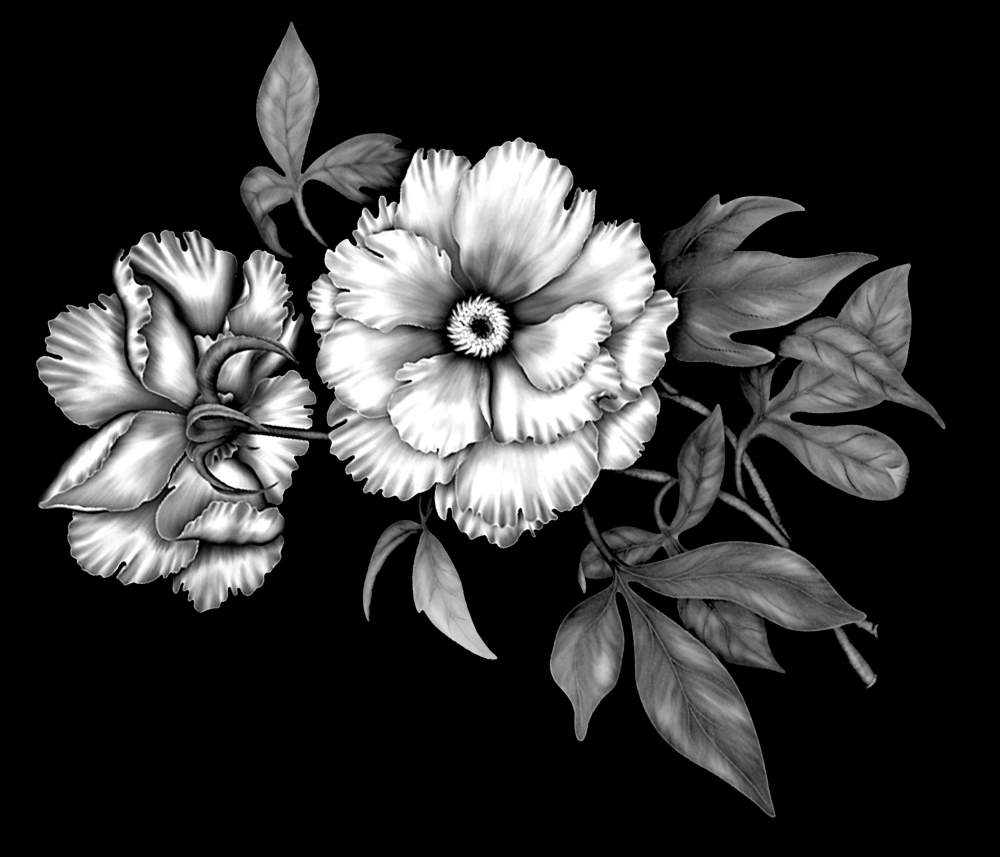 Без имени-5.jpg