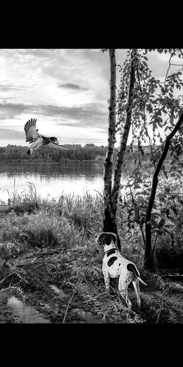 Без имени-1.jpg