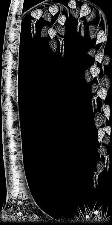 оформление 214.jpg