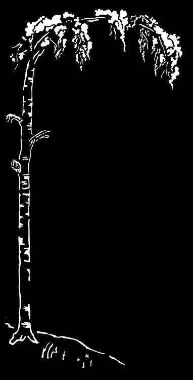 оформление 293.jpg