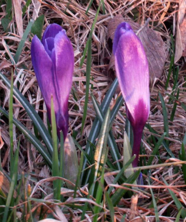 IMG_0142 9апрель 2023).jpg