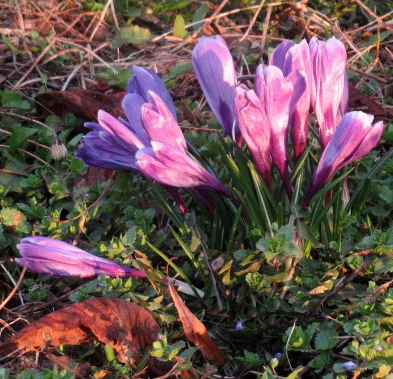 IMG_0143 ( апрель 2023).jpg