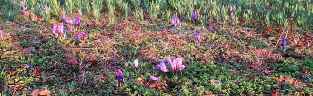 IMG_0145 ( 10 апреля 2023 ).jpg