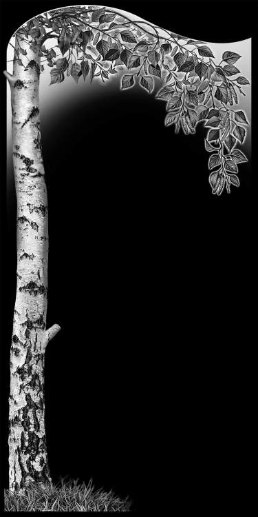 Стрелкова Рабочий файл PSD.jpg