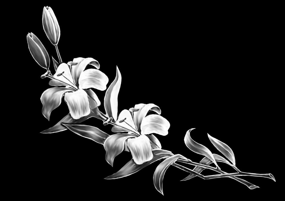 две лилии.jpg