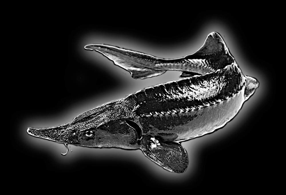 Без имени-2.jpg