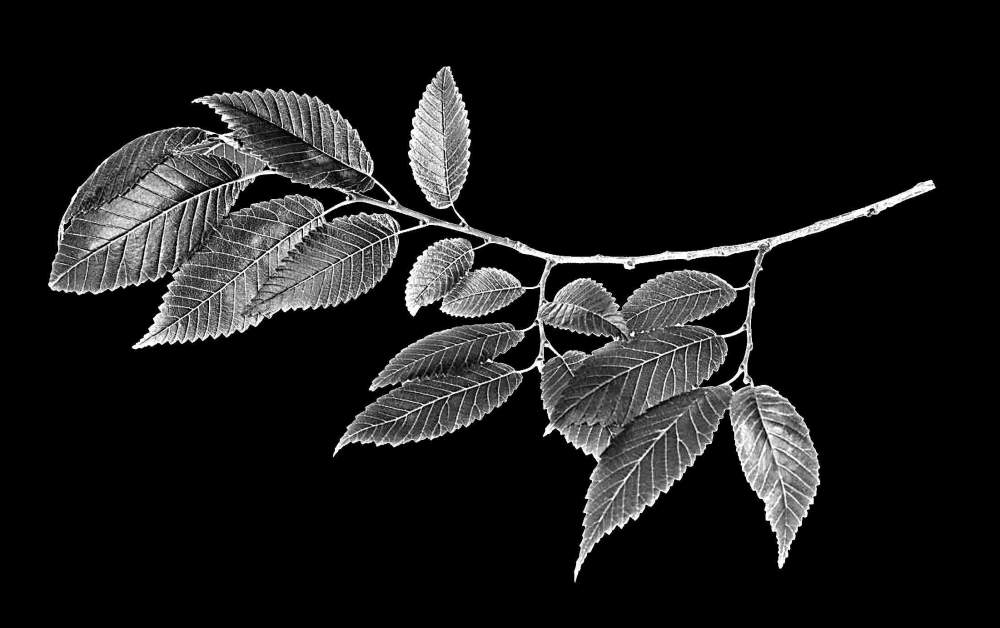 Без имени-1.jpg