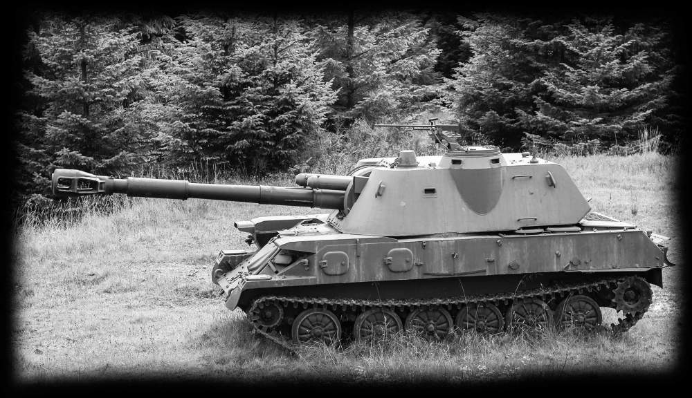 САУ 2 Гвоздика.jpg