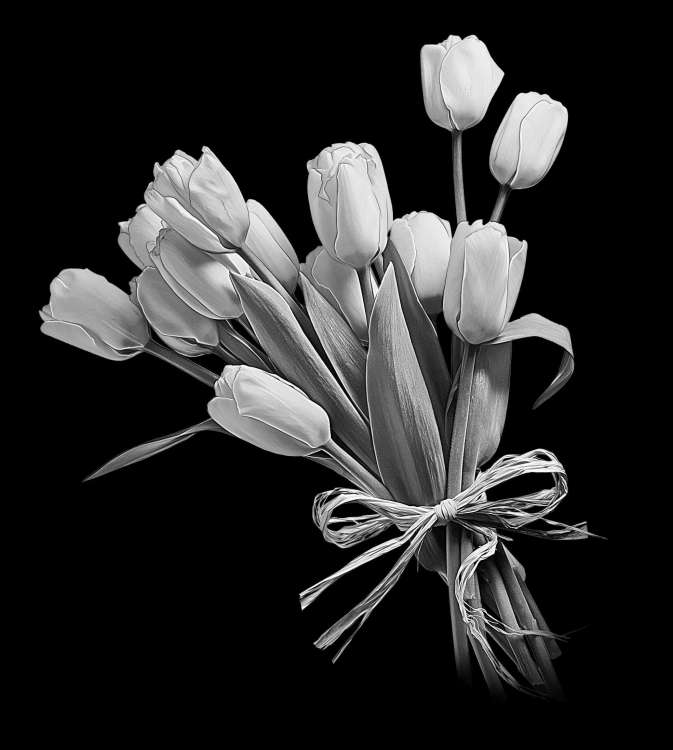 4 Тюльпаны.jpg