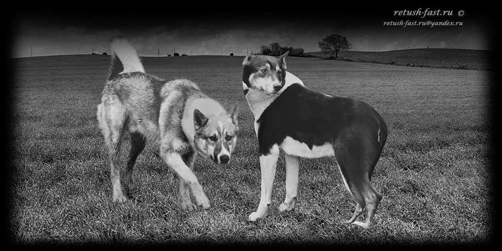 20230506_151946 копия.jpg