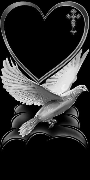 голубь сердце 1.jpg