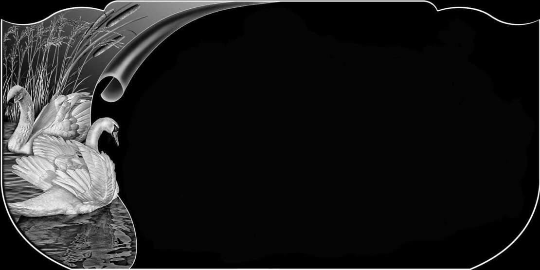 лебядь.jpg
