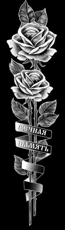 розы лента вп.jpg