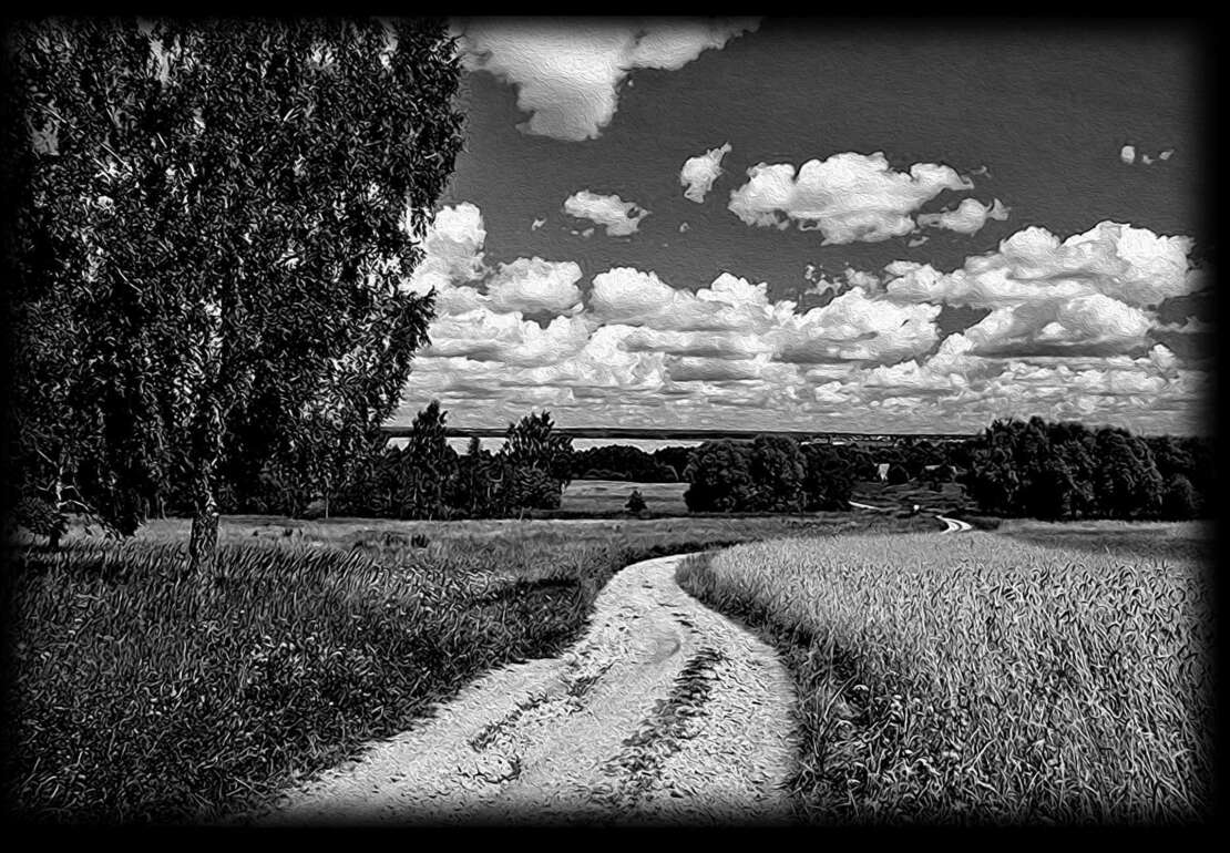 пейзаж поле береза.jpg