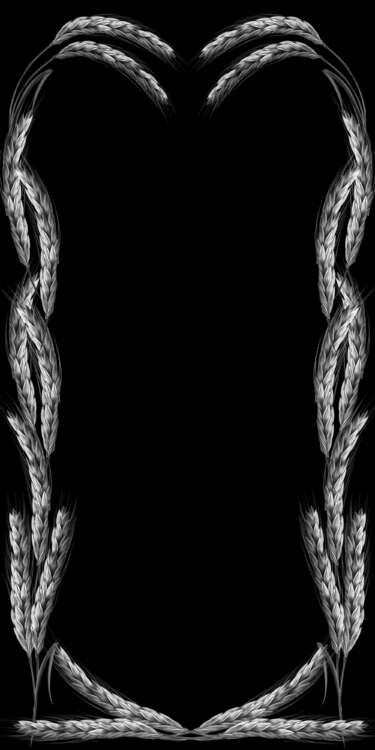 рамка пшеница.jpg