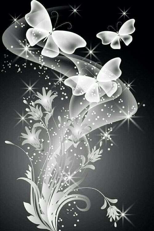 бабочки 2.jpg