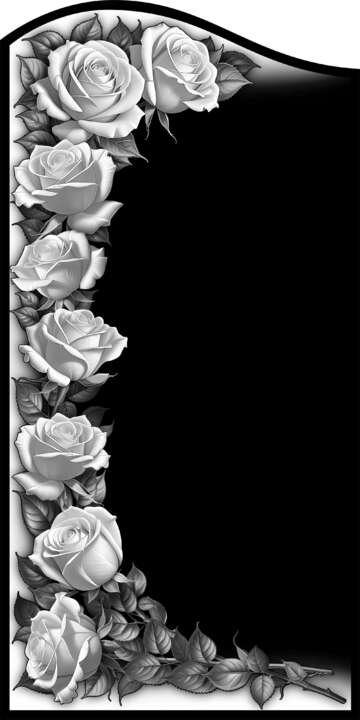 Дулова НС_Гр100х50.jpg