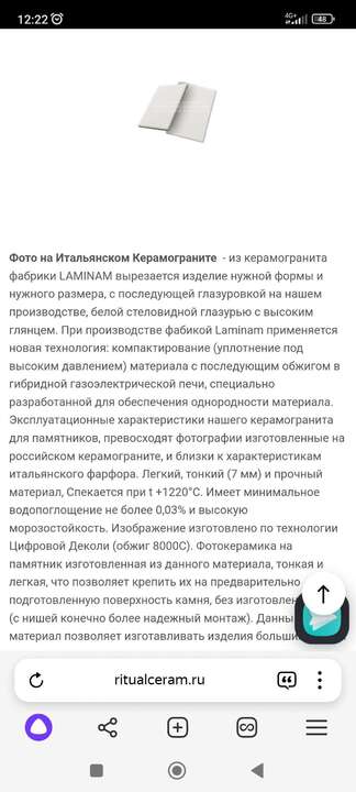 Screenshot_2024-12-27-12-22-07-168_com.yandex.browser.jpg