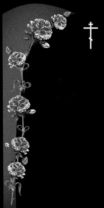 гвоздики 2.jpg