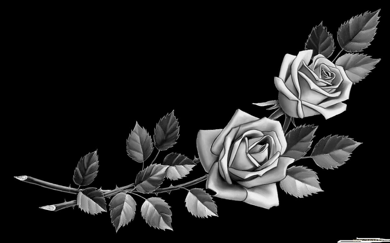 роза стоун.jpg