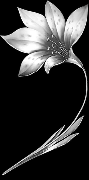 цветок для оформления.jpg