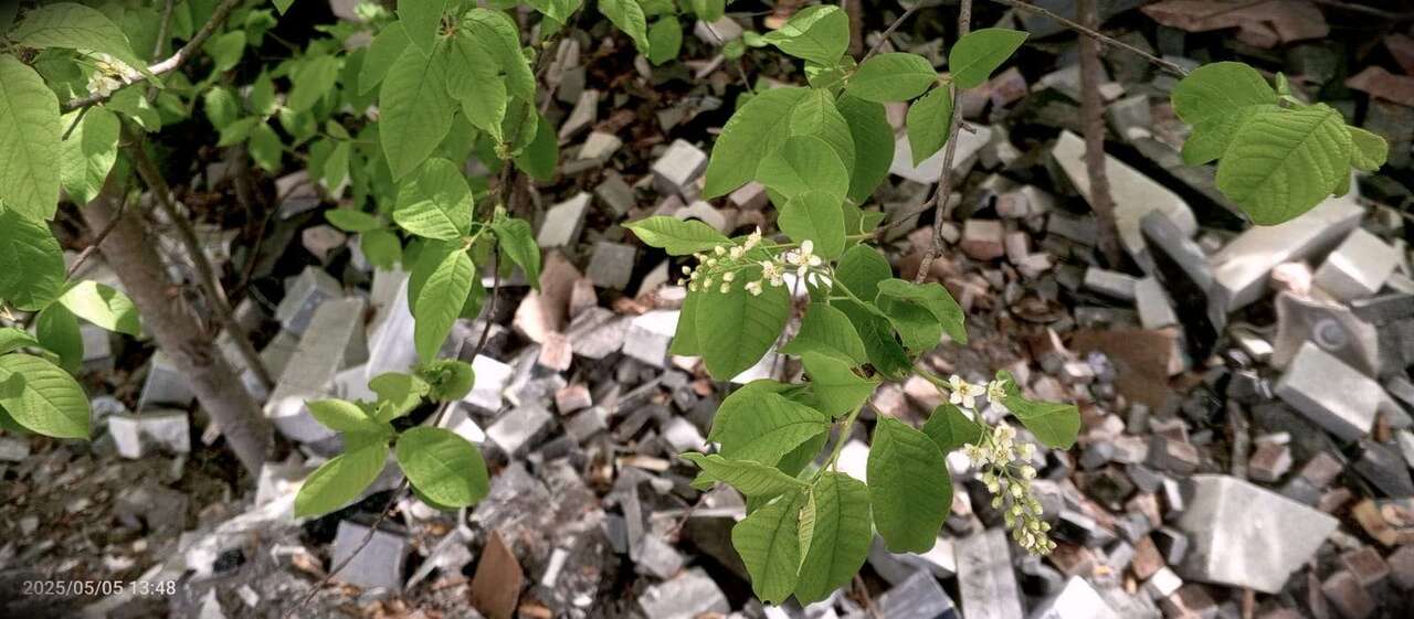 Изображение WhatsApp 2025-05-05 в 15.40.05_e35b0a00.jpg