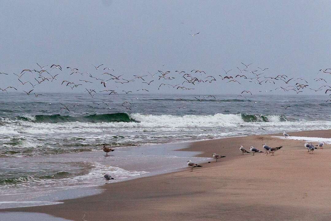 2025 Первый снег копия.jpg