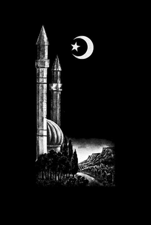 46970811e8d8935eeae23e439078b2a0_bf83f9ae-b8ef-421e-b3cf-9553bb99271e копия.jpg